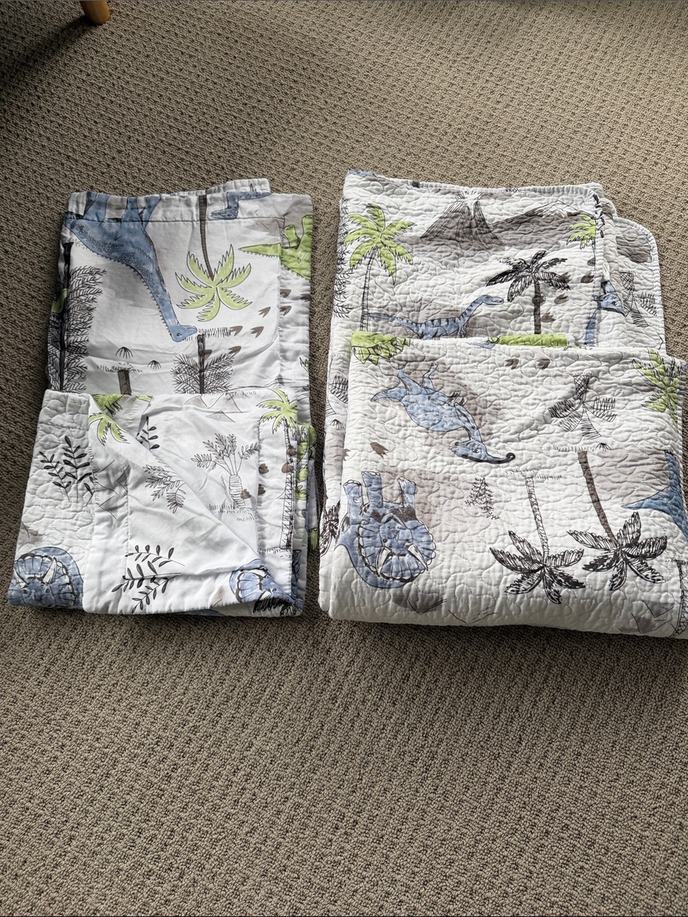 Twin size dinosaur print quilt and pillowcase set for kids bedroom